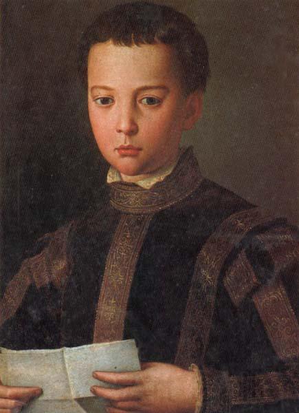 Agnolo Bronzino Portrait of Francesco I as a Young Man Spain oil painting art